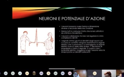 Sistema nervoso, sesso e identità: formazione scientifica in Frassati